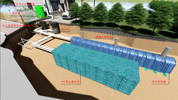 202202231449315了；貓； 68.jpg